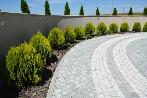 Best Driveway Repair Near Me  in West Clarkston Highland, WA